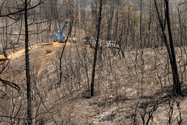 <p>Crews work on a burned hillside during the Salt fire in the Gregory Creek area of Shasta County, California on 2 July 2021</p>