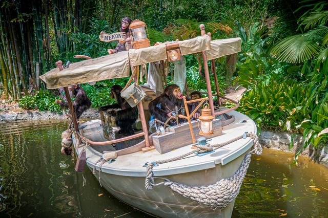 <p>Chimpanzees take over the wrecked boat of a safari expedition on the world-famous Jungle Cruise at Disneyland Park on July 8, 2021</p>