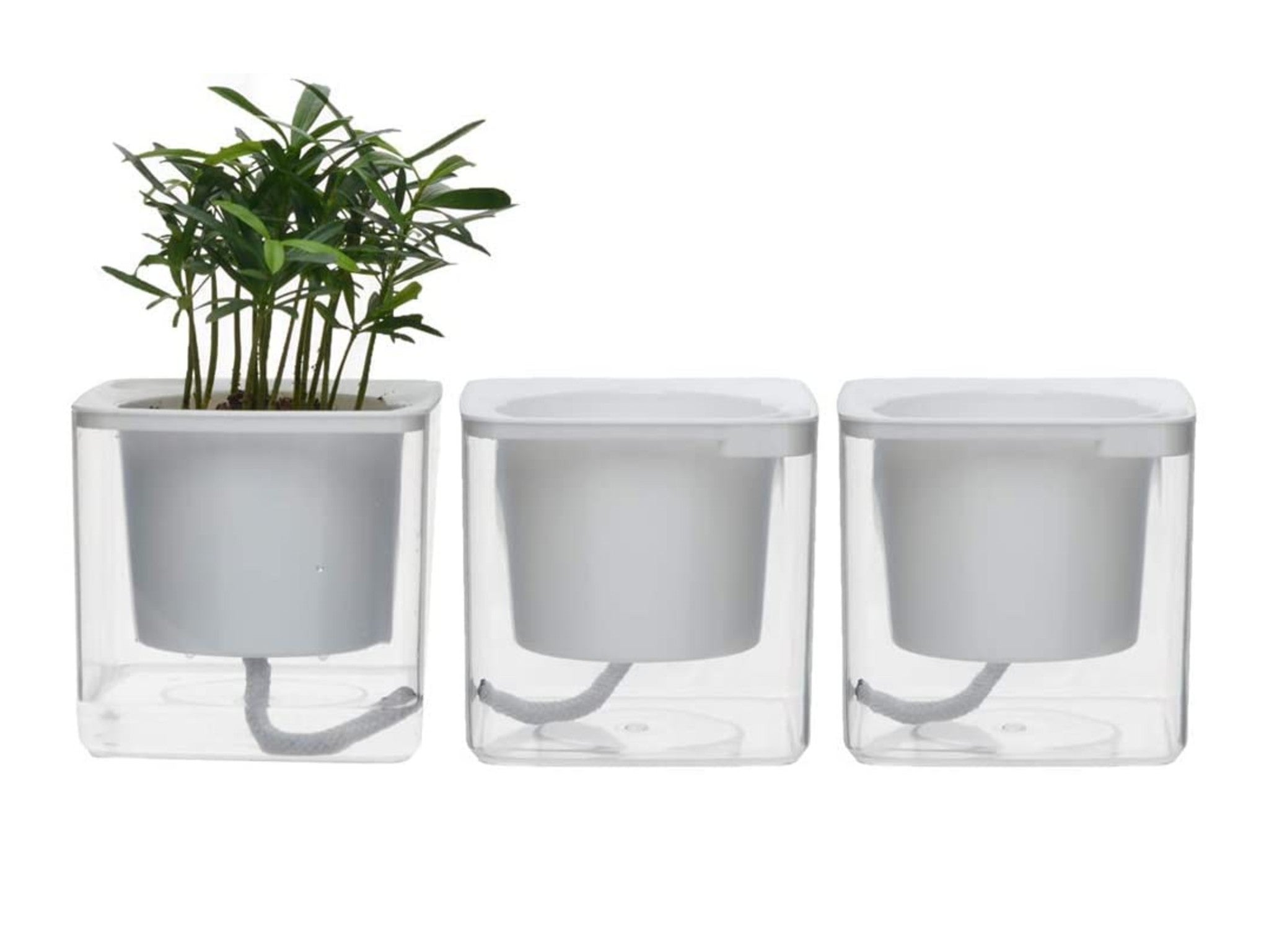 Self-Watering Plastic Flower Plant Pot House Windowsill Planter Trough White UK 