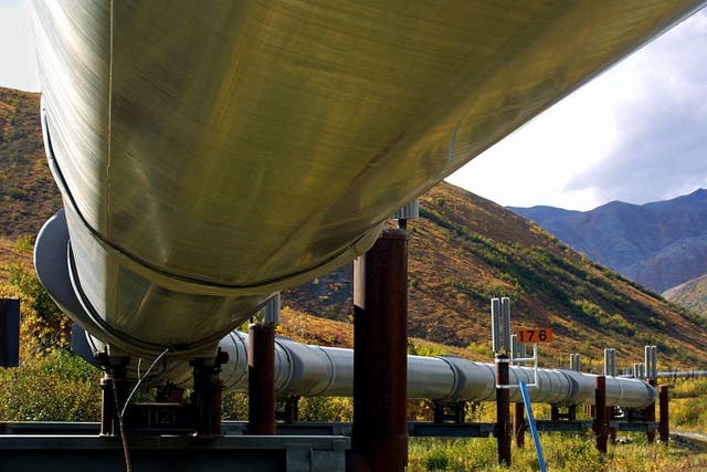 <p>The Trans-Alaska Oil Pipeline</p>