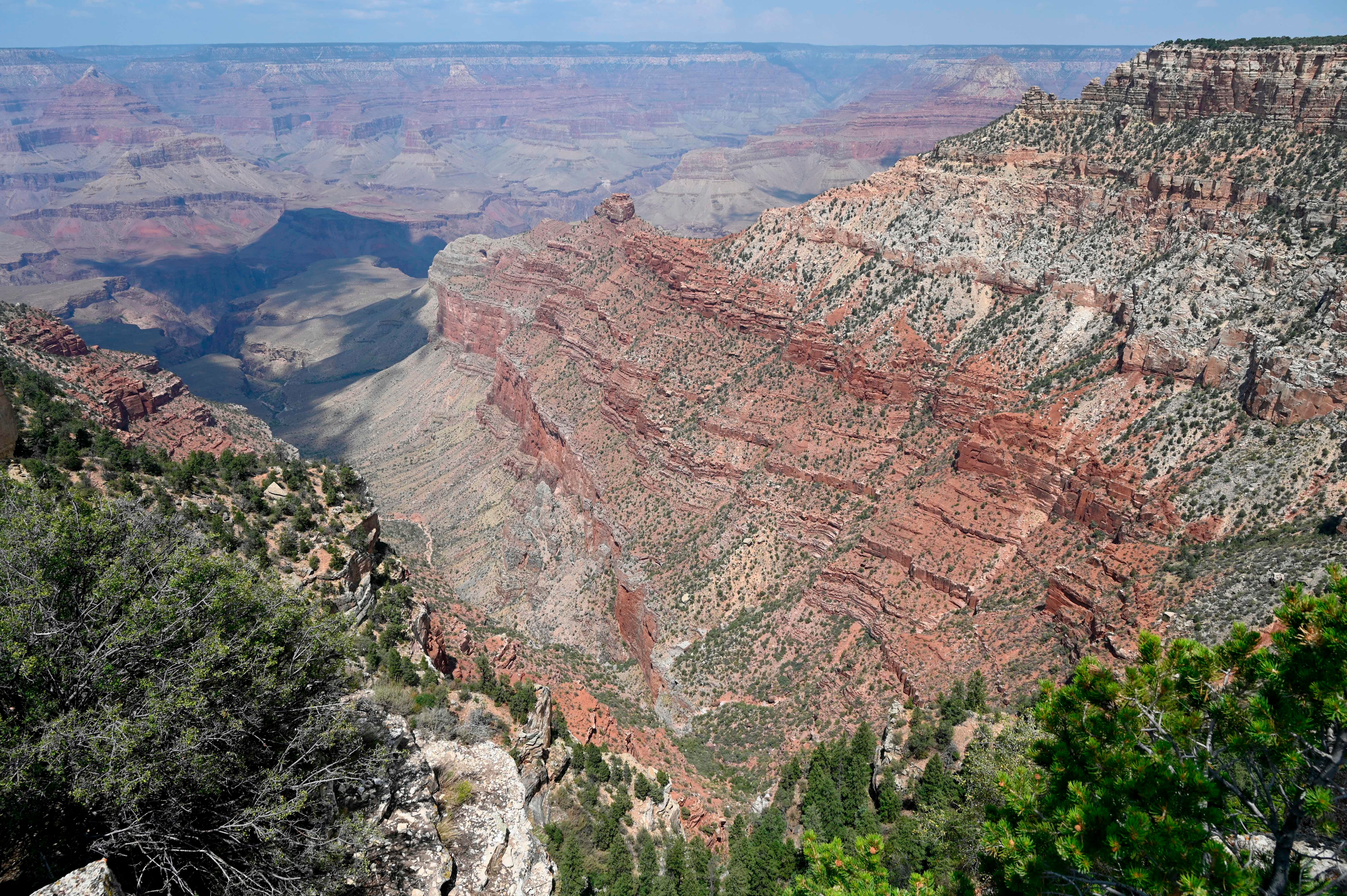 The total 1.2 million estimate also equates to roughly the same size space as Grand Canyon National Park.