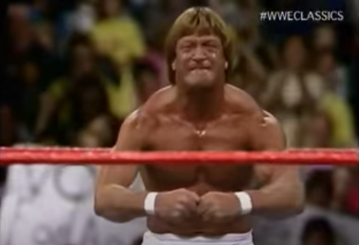 Paul Orndorff Wwf Wrestling Legend Mr Wonderful Dies At 71 The Independent