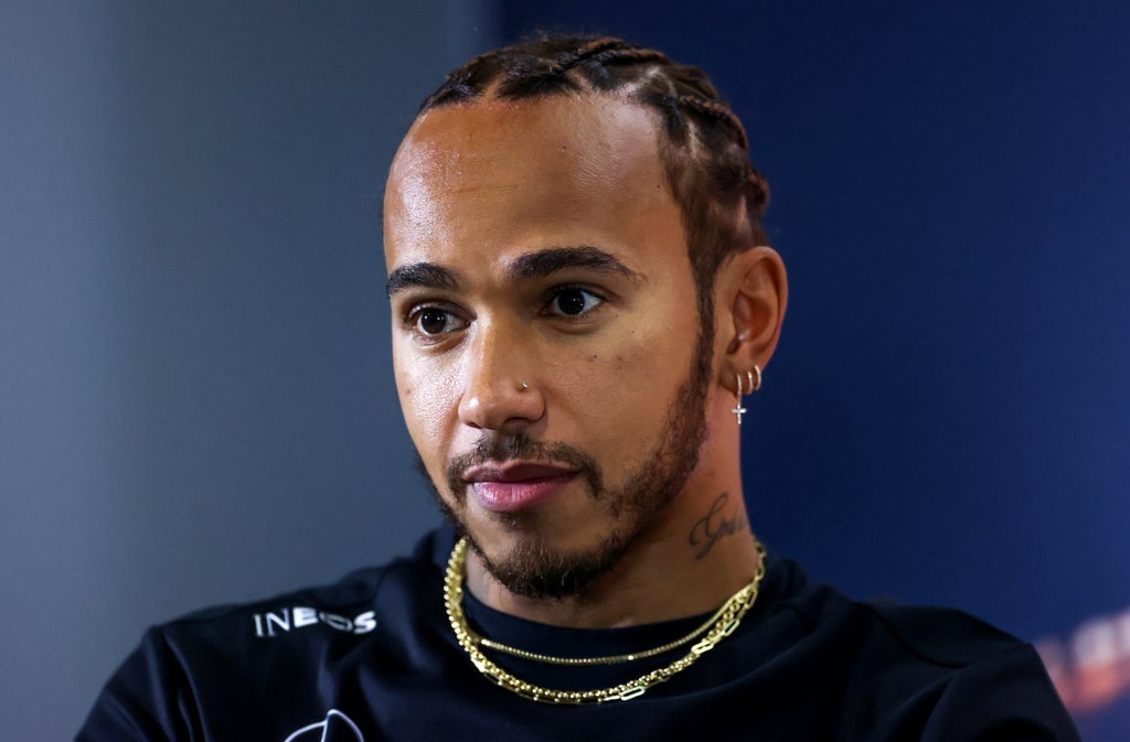 Lewis Hamilton report: F1 world champion reveals plans to improve motor sport diversity