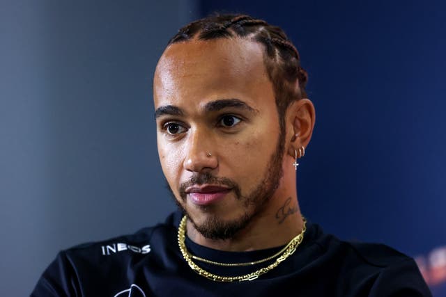 <p>Lewis Hamilton has been a long-term advocate for greater diversity within Formula One</p>