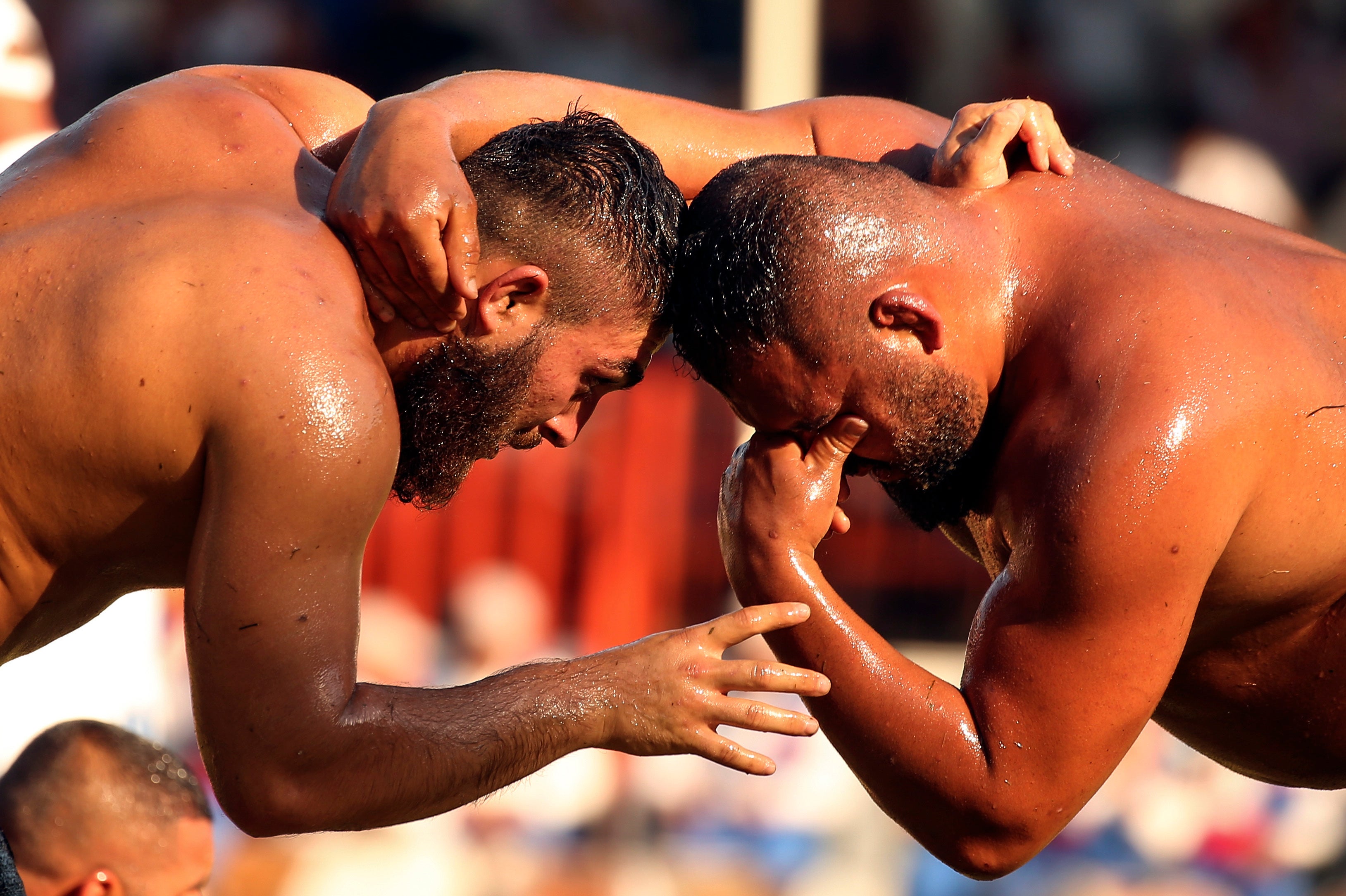 Turkey Oil Wrestling