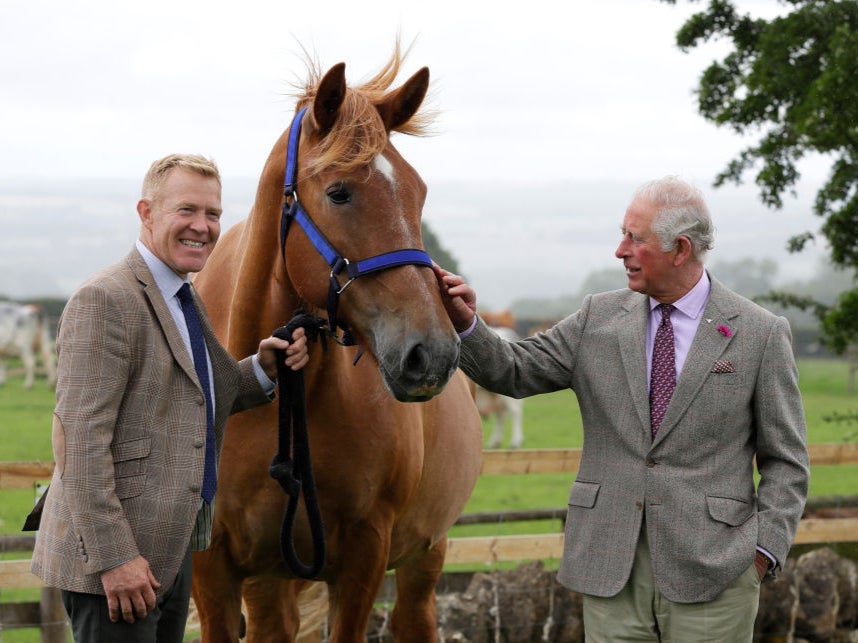 Prince Charles, right, is introduced to Victoria, a Suffolk Punch horse by farmer and television personality Adam Henson, left, during a visit to Cotswold Farm Park in Guiting Power on 1 July 2020