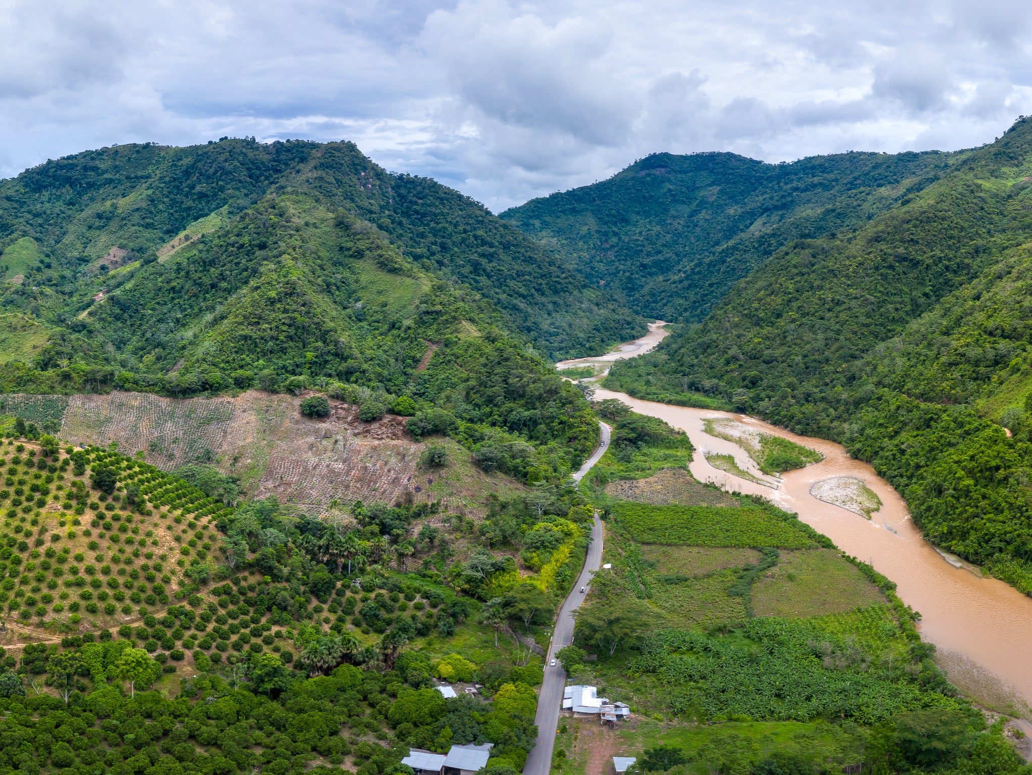<p>The Peruvian Amazon, with areas cleared for agriculture</p>