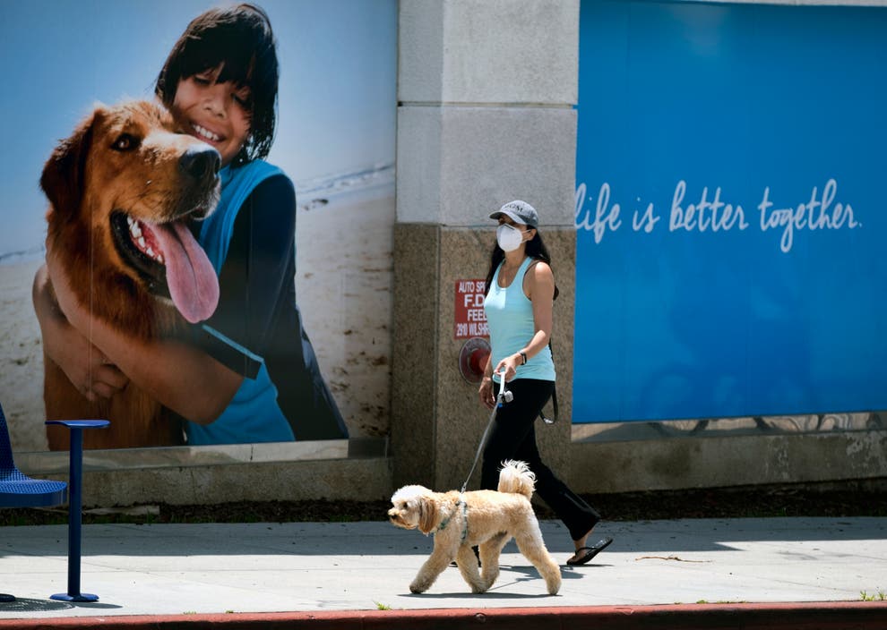 Millennial Money: 'Back to normal' boosts pandemic pup costs American