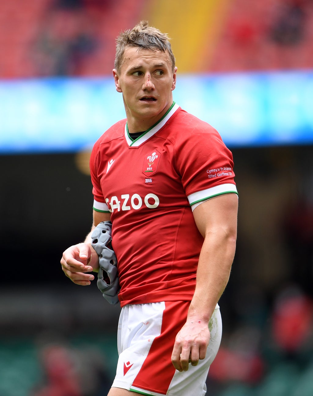 Wales waiting on fitness of Jonathan Davies ahead of Argentina clash