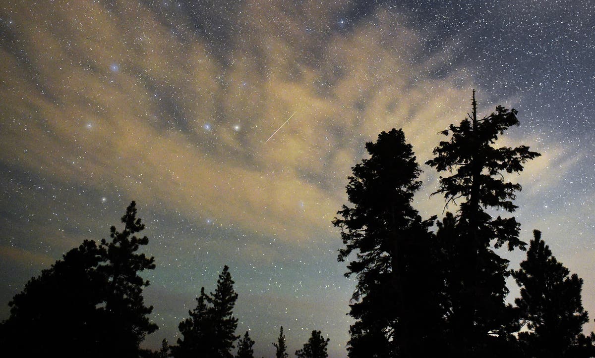 The Perseids: How to watch the spectacular meteor shower this summer 