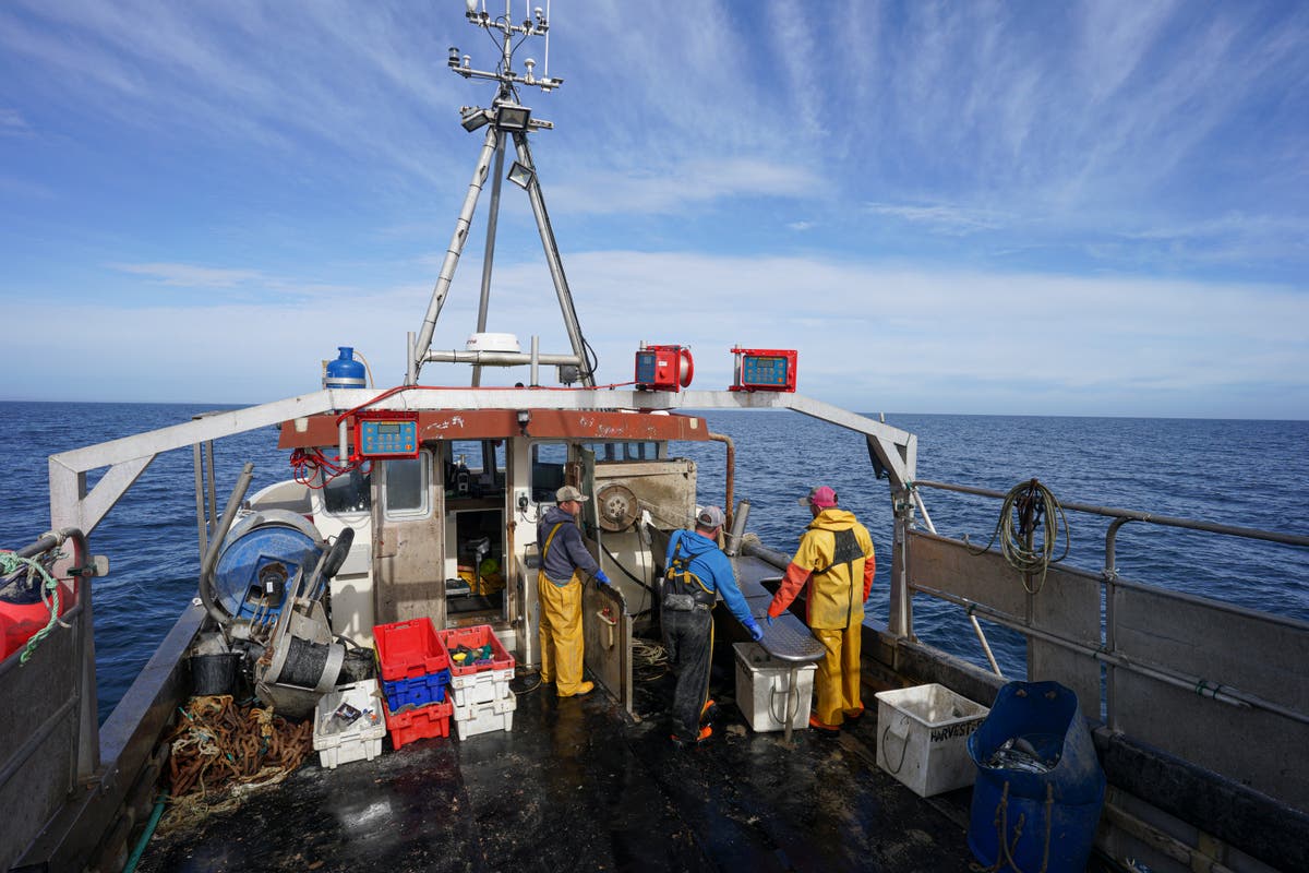 Tory MPs who hyped Brexit fishing benefits have abandoned us, fishermen say 