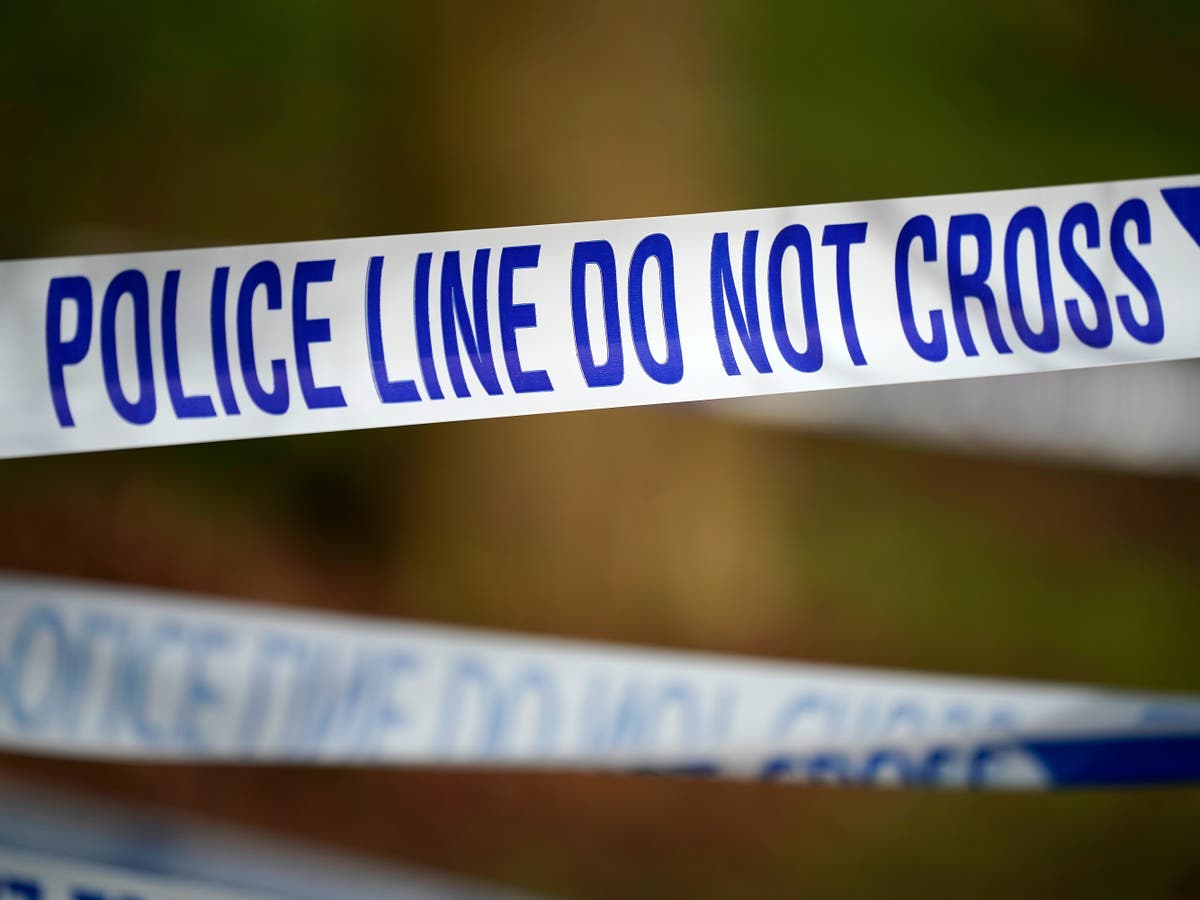 Deaths feared in A1(M) crash involving lorries and cars, police say