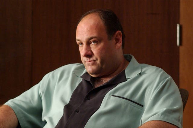 <p>James Gandolfini as Tony Soprano in ‘The Sopranos'</p>
