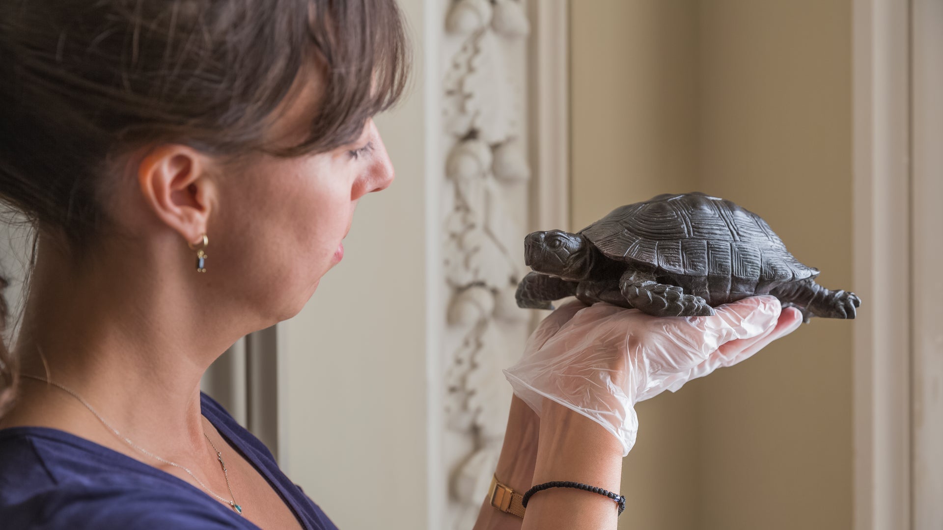 Property curator Elena Greer with one of the tortoises