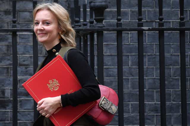 <p>Minister for women and equalities Liz Truss announced on 10 September that Iain Anderson would be the government new LGBT business champion </p>