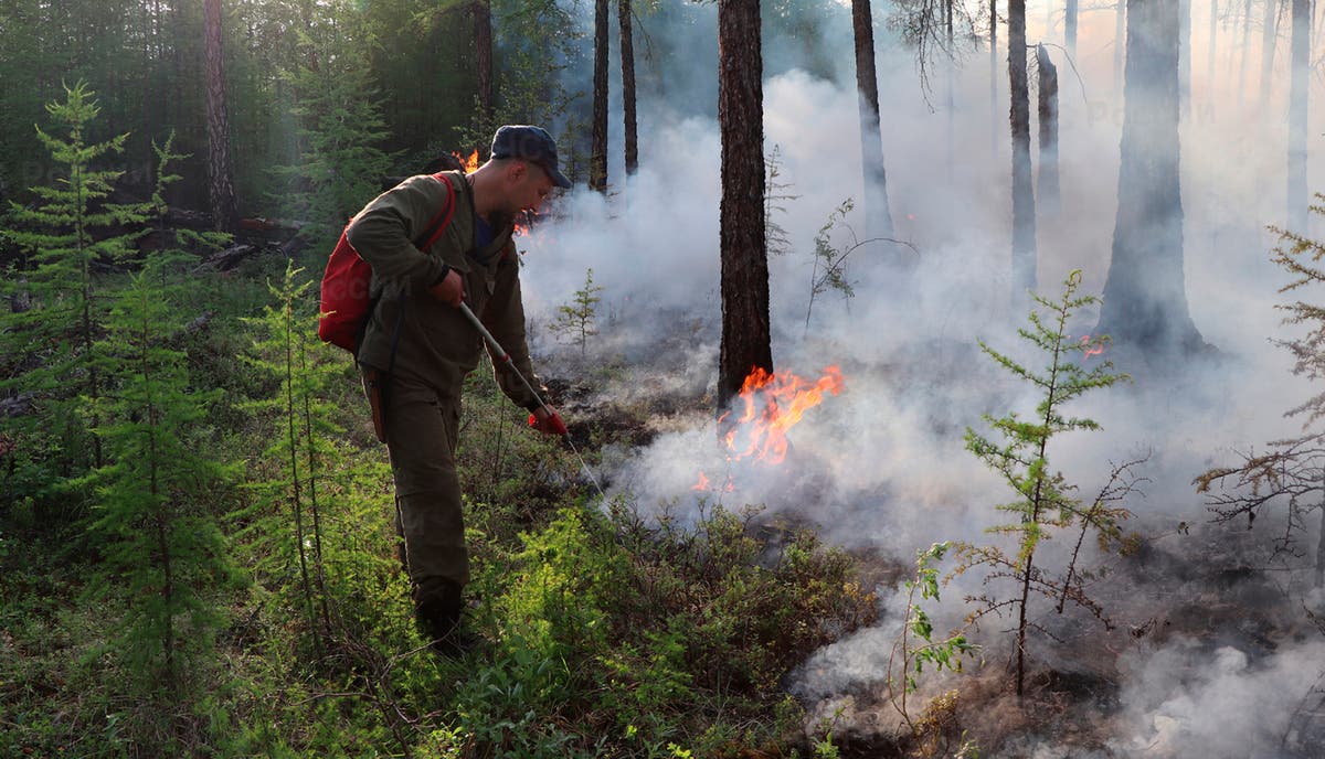 Siberia wildfires: Russian army planes battle huge blazes after ...