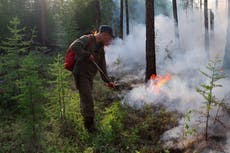 Siberia wildfires: Russian army planes battle huge blazes after heatwave