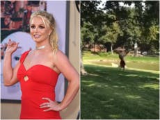 Britney Spears does cartwheels as she celebrates judge allowing her to choose own lawyer: ‘#FreeBritney’