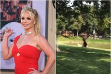 Britney Spears does cartwheels as she celebrates judge allowing her to choose own lawyer: ‘#FreeBritney’