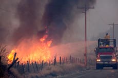 Washington governor calls it the ‘summer of climate change’ as West Coast to be hit with another heatwave from Saturday