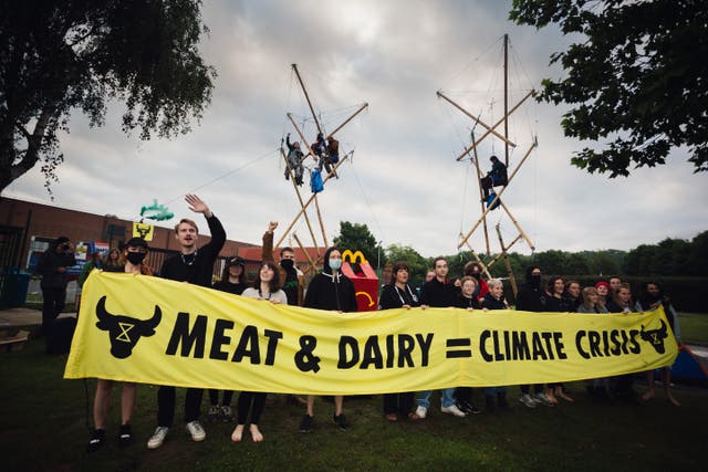 <p>Animal Rebellion said McDonald’s is just a symbol of the system they are trying to change</p>