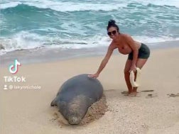 There are roughly 1,400 Hawaiian monk seals left in existence, a woman has been fined after touching one in Kauai