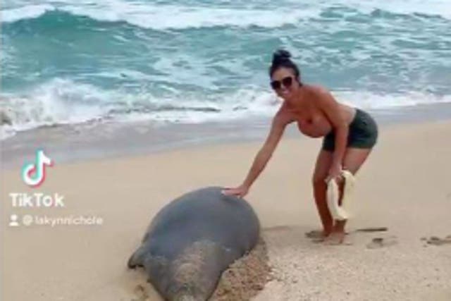 <p>There are roughly 1,400 Hawaiian monk seals left in existence, a woman has been fined after touching one in Kauai</p>