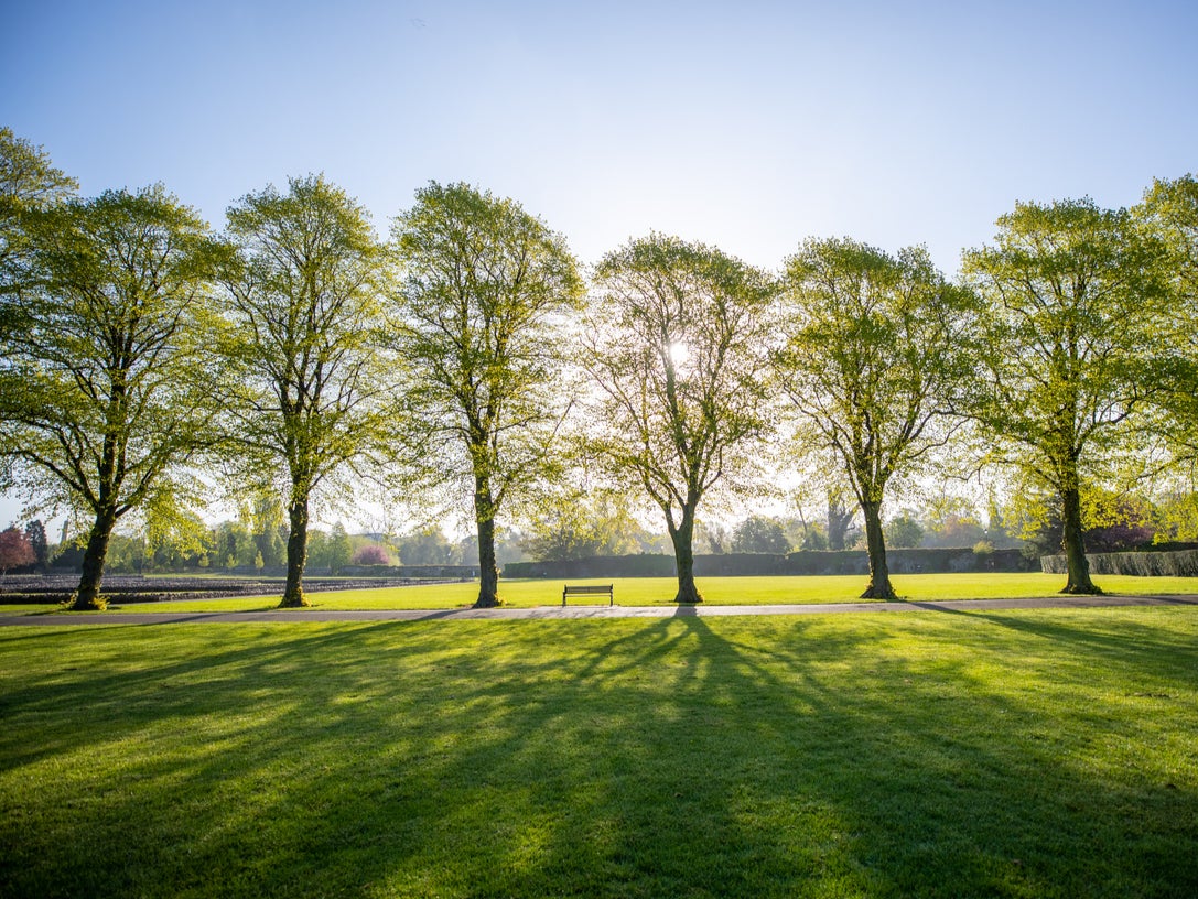 Abbey Park: Leicester has plentiful green spaces