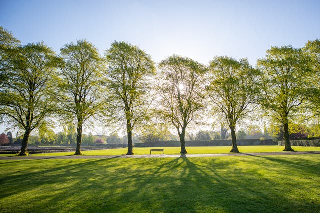 <p>Abbey Park: Leicester has plentiful green spaces</p>