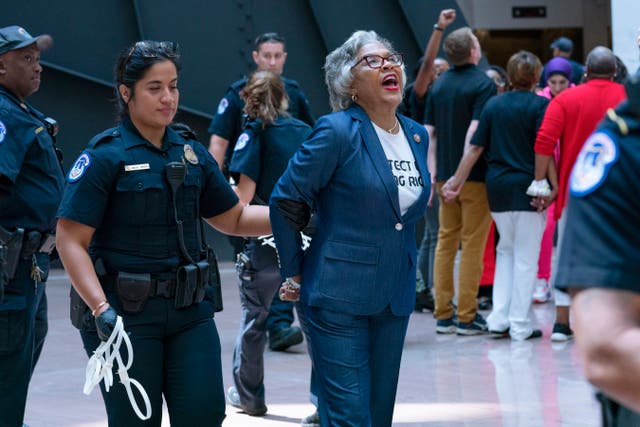 <p>Capitol Police arrested Democratic US Rep Joyce Beatty and eight others during a demonstration supporting voting rights at the Capitol on 15 July</p>