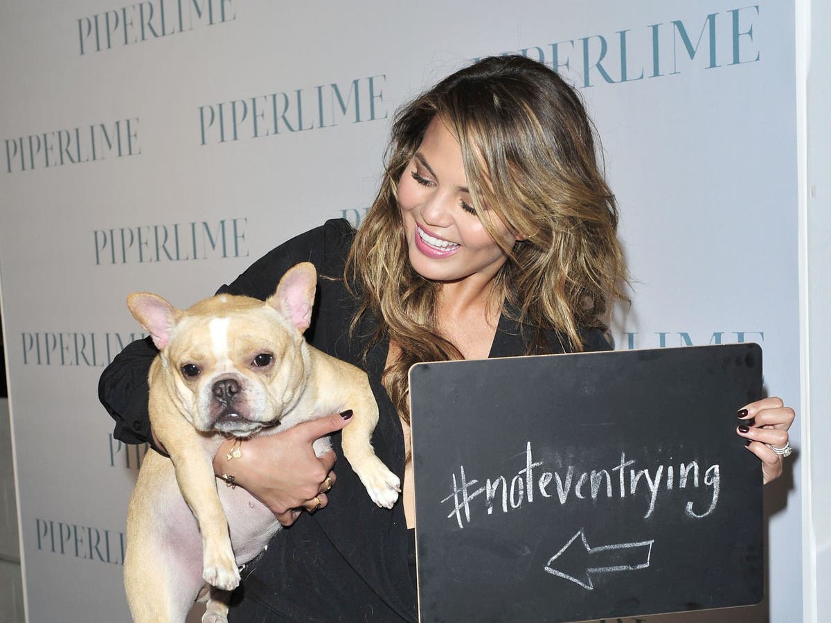 Chrissy Teigen mourns death of her &lsquo;beautiful&rsquo; dog Pippa