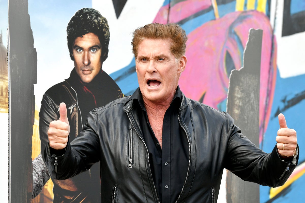 Scientists reveal fighting secrets of crab named after David Hasselhoff