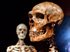 Just 7% of our DNA is unique to modern humans, study shows