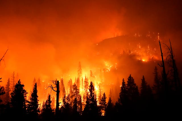 California Wildfire Cause