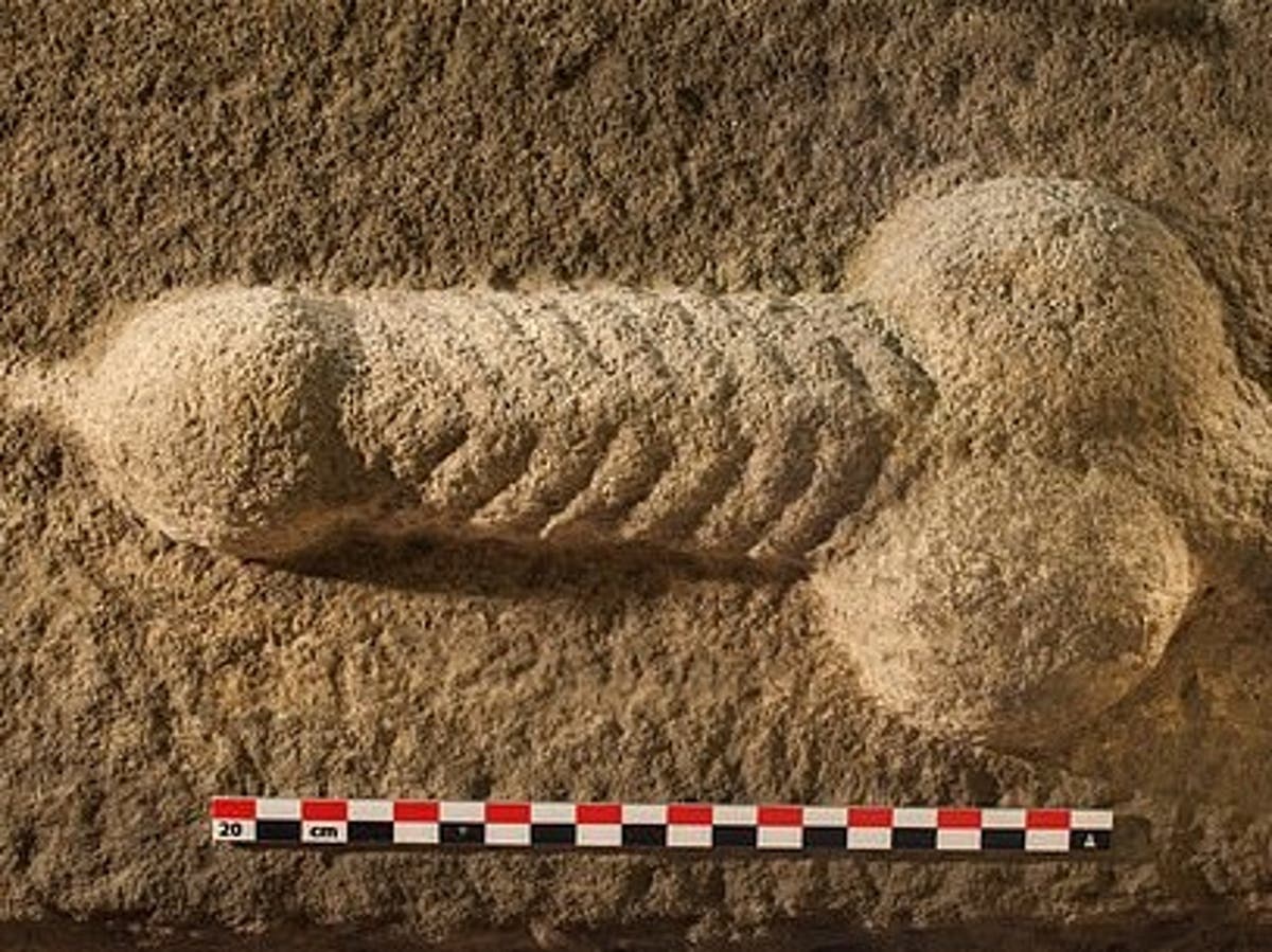 Roman stone-carved penis uncovered during Yorkshire dig