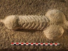 Cock of the north: Roman stone-carved penis uncovered during Yorkshire archaeological dig