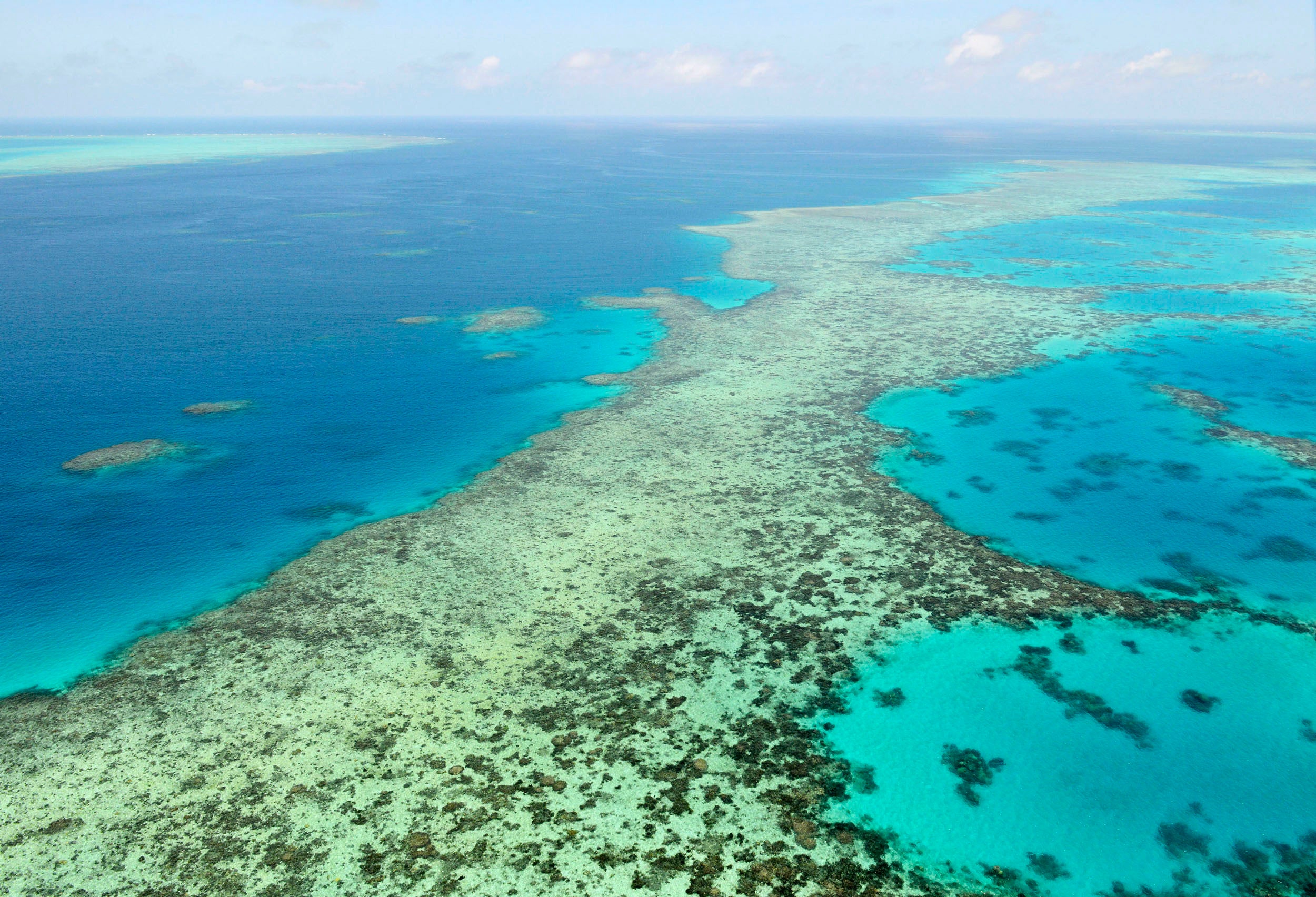 The Great Barrier Reef is one of Unesco’s World Heritage sites at risk of being downgraded to the ‘endangered list’