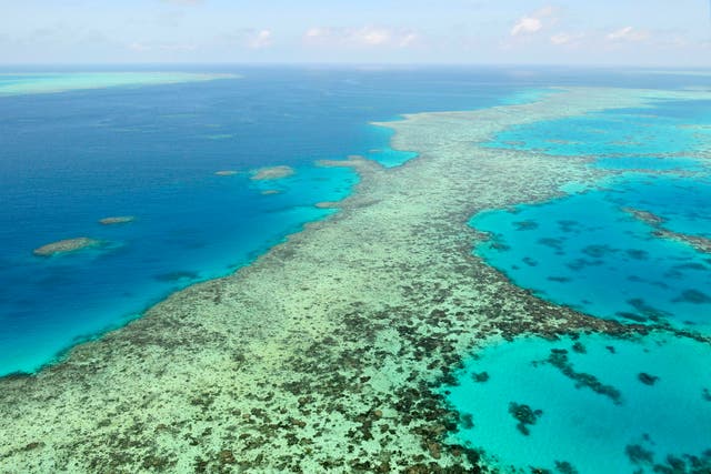 <p>The Great Barrier Reef is one of Unesco’s World Heritage sites at risk of being downgraded to the ‘endangered list’</p>