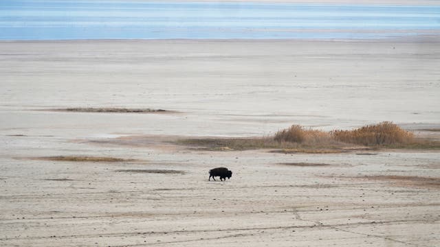 <p>Great Salt Lake, Utah</p>