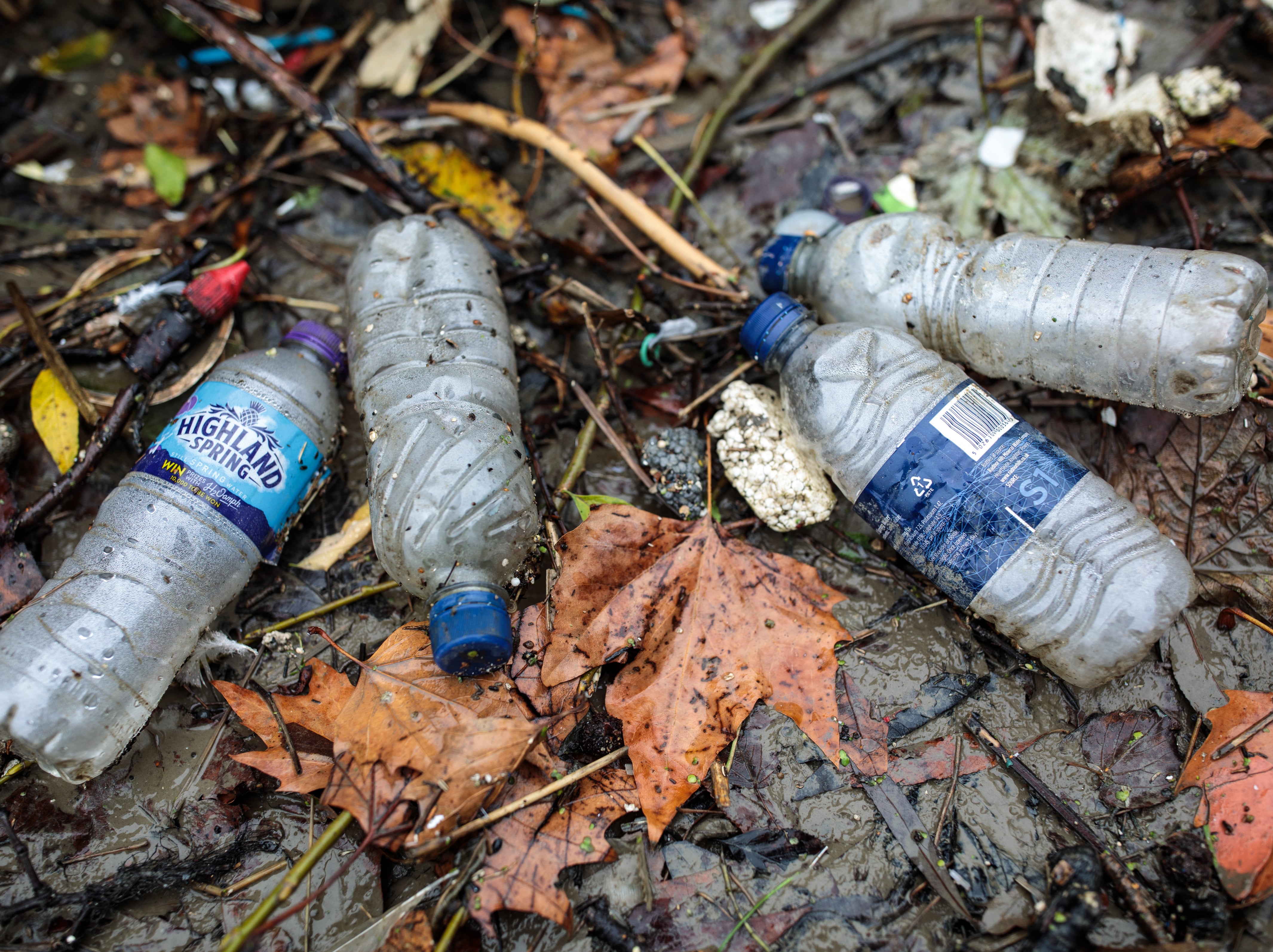 <p>Plastic waste discarded in rivers is entering the food chain</p>