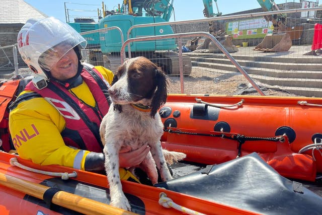 <p>Crew member Simon Emms said Ollie ‘enjoyed his ride on the lifeboat’</p>