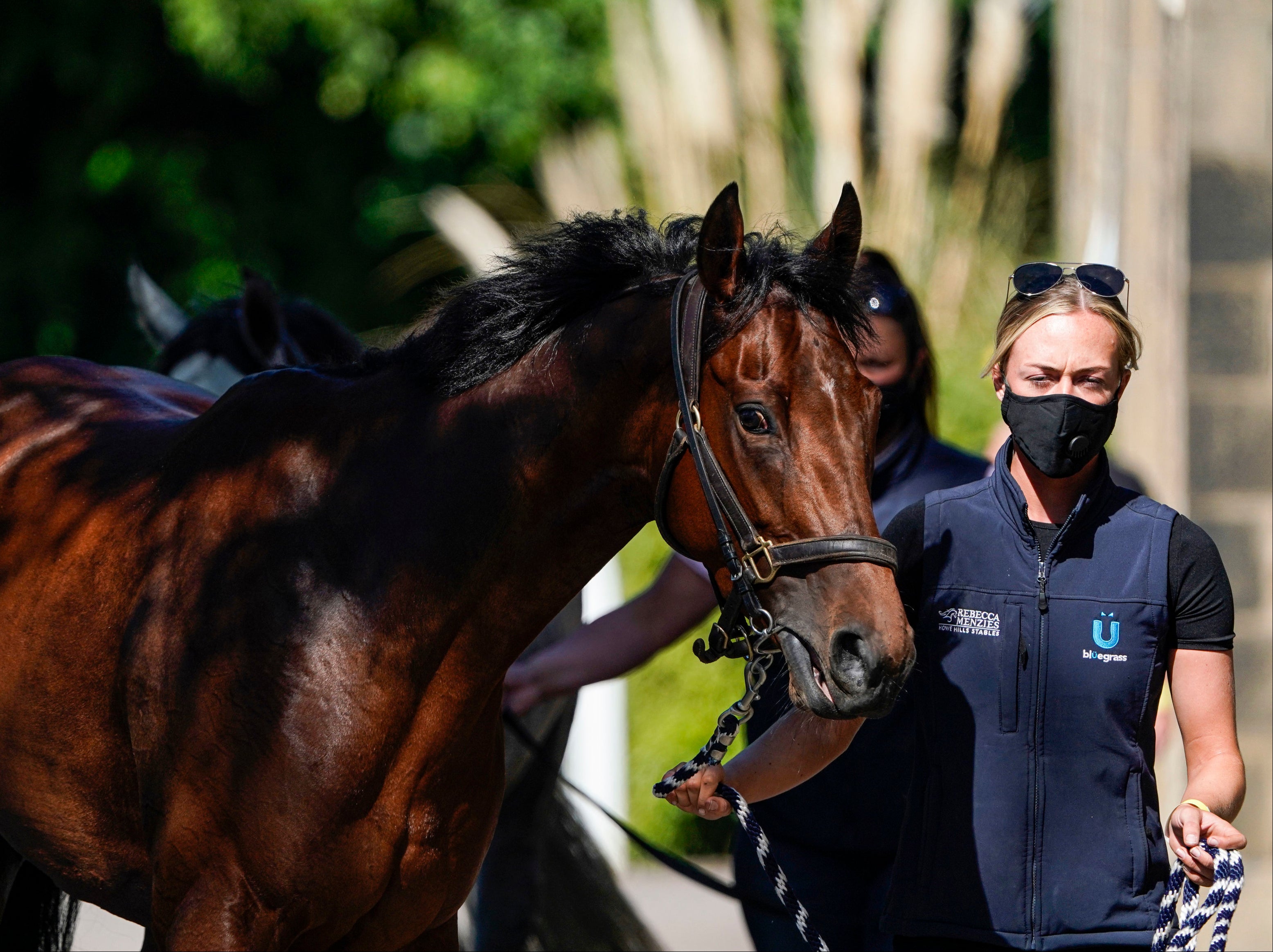Freedom of information requests also revealed that 4,000 former racehorses were slaughtered in Britain and Ireland since the beginning of 2019