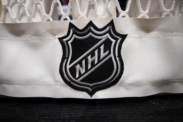 <p>The NHL has its first openly gay player</p>