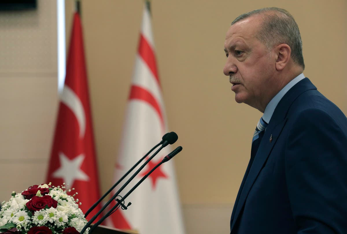 Turkish President Two State Deal Only Way For Cyprus Peace Mediterranean Istanbul Ursula Von Der Leyen Ankara Greek The Independent