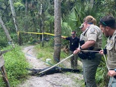 Florida man seriously injured after falling off bike and getting bitten by alligator