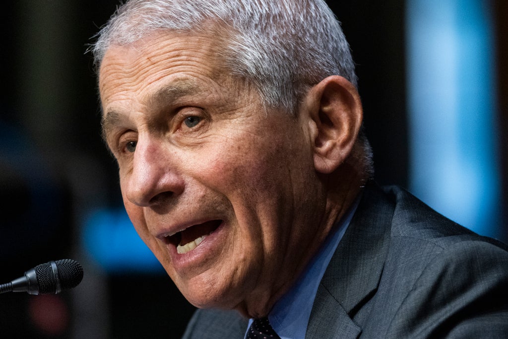 Fauci hits out over DeSantis t-shirts targeting him