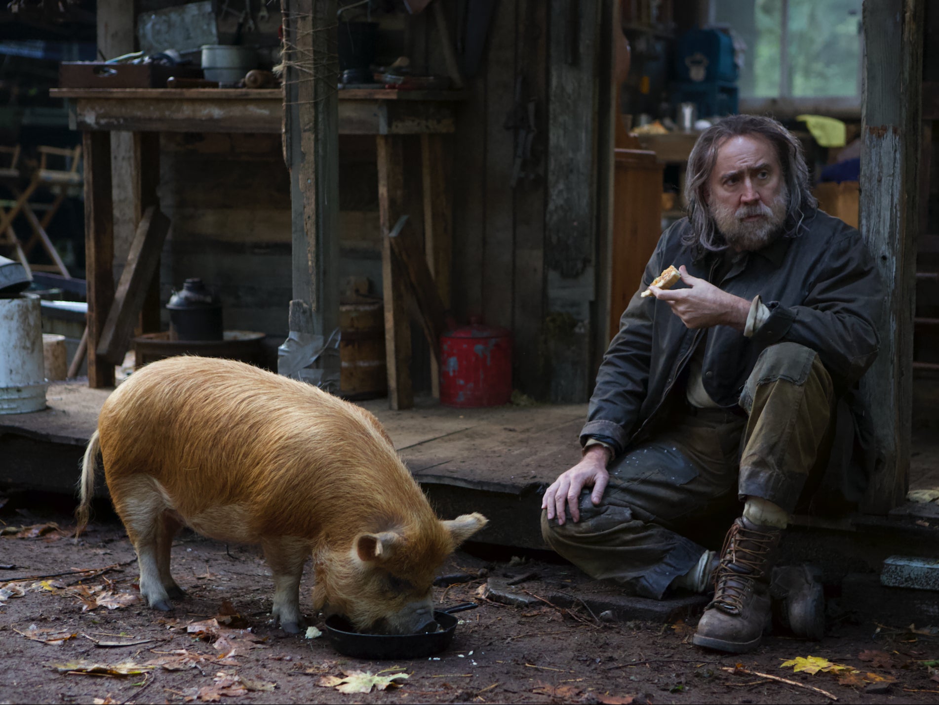 Pig, Nicolas Cages new film, could have been a trainwreck image