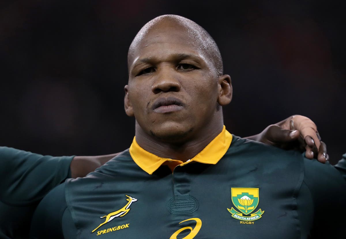 Bongi Mbonambi: Claims South Africa are underdone will only fuel Springboks fire