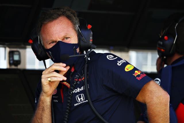 Christian Horner, pictured, was unhappy with Lewis Hamilton after Sunday's British GP