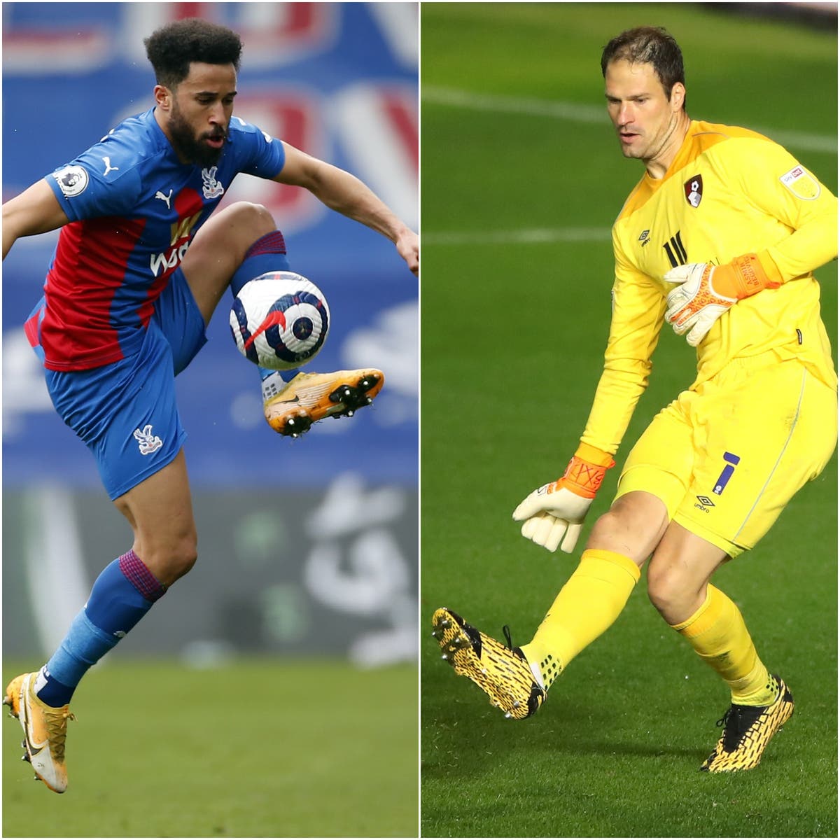 Rafael Benitez makes Andros Townsend and Asmir Begovic first Everton signings